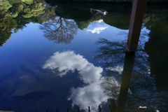 池の雲
