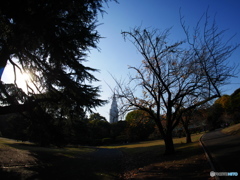 P1030969