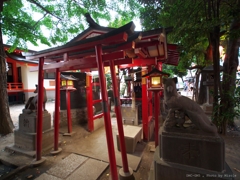花園神社のお稲荷様