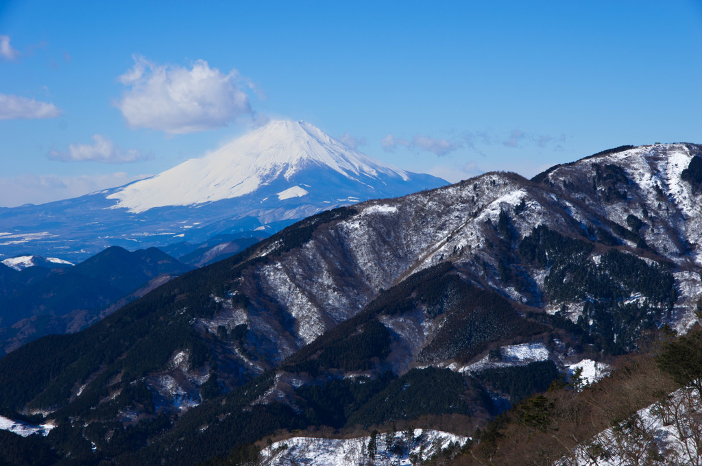 丹沢大山の富士見台より