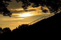 丘のある公園の夕焼け