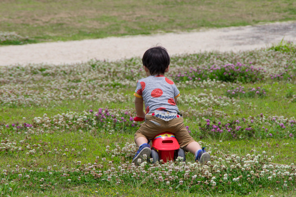 公園を疾走