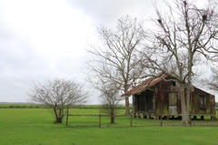 Old house