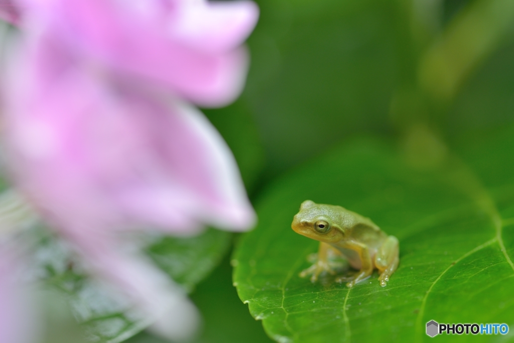 梅雨の日の憂鬱