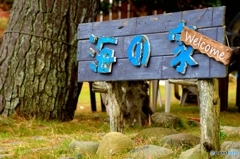 夏でなくても営業中！