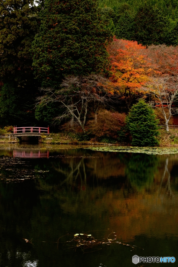 鳥見山公園