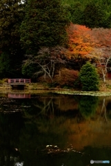 鳥見山公園