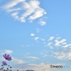 秋空