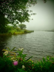 霧の湖畔