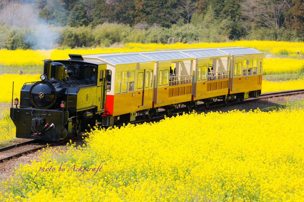 里山めぐり