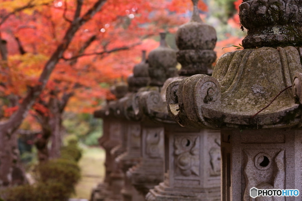 佛通寺