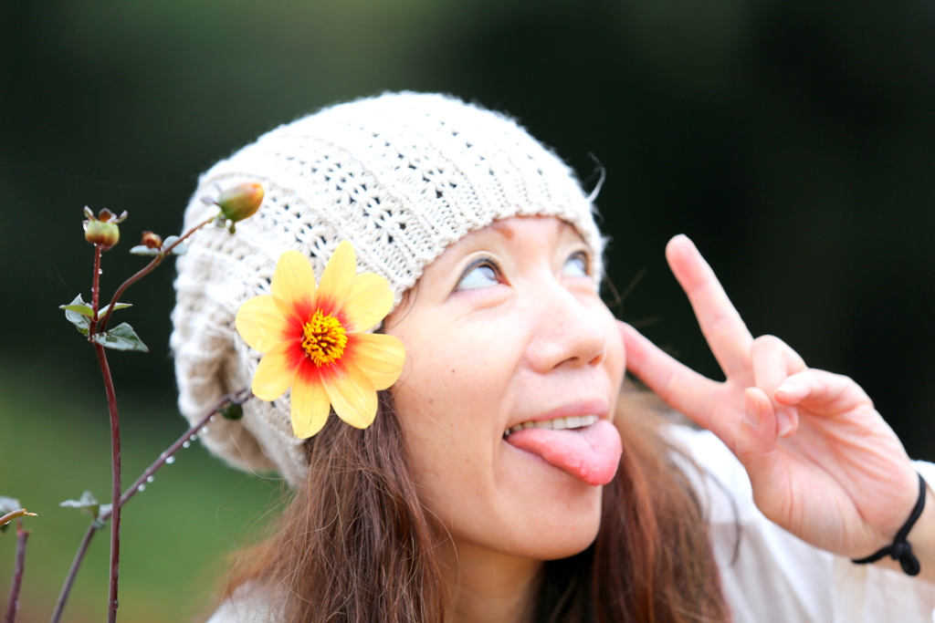 かんざしの花