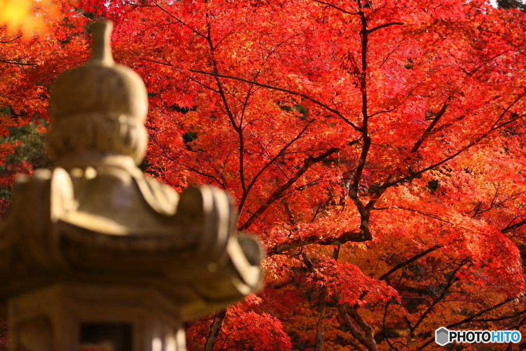 佛通寺