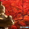 佛通寺