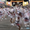「阿呆連」