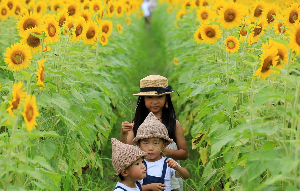3人の子供