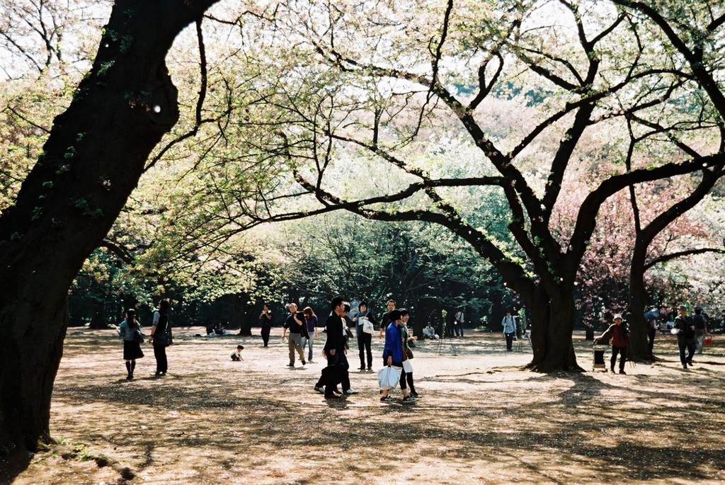 カメラにはまった頃の写真 #1