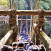 祖谷のかずら橋