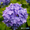 SDIM2120