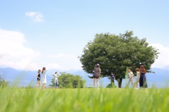 爽やかな記憶、夏。