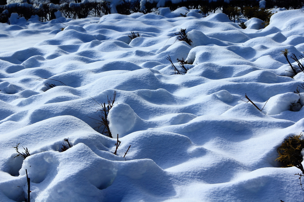 新雪