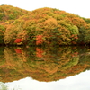 曲沢沼の紅葉　裏磐梯