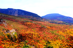 安達太良山の紅葉