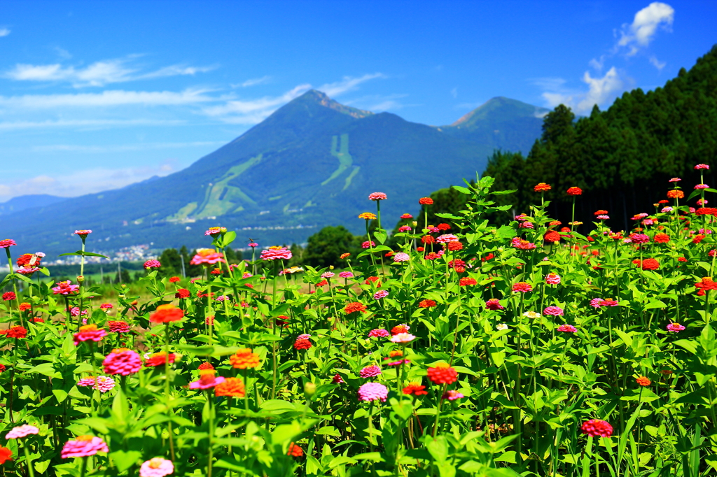 夏の磐梯山