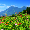 夏の磐梯山
