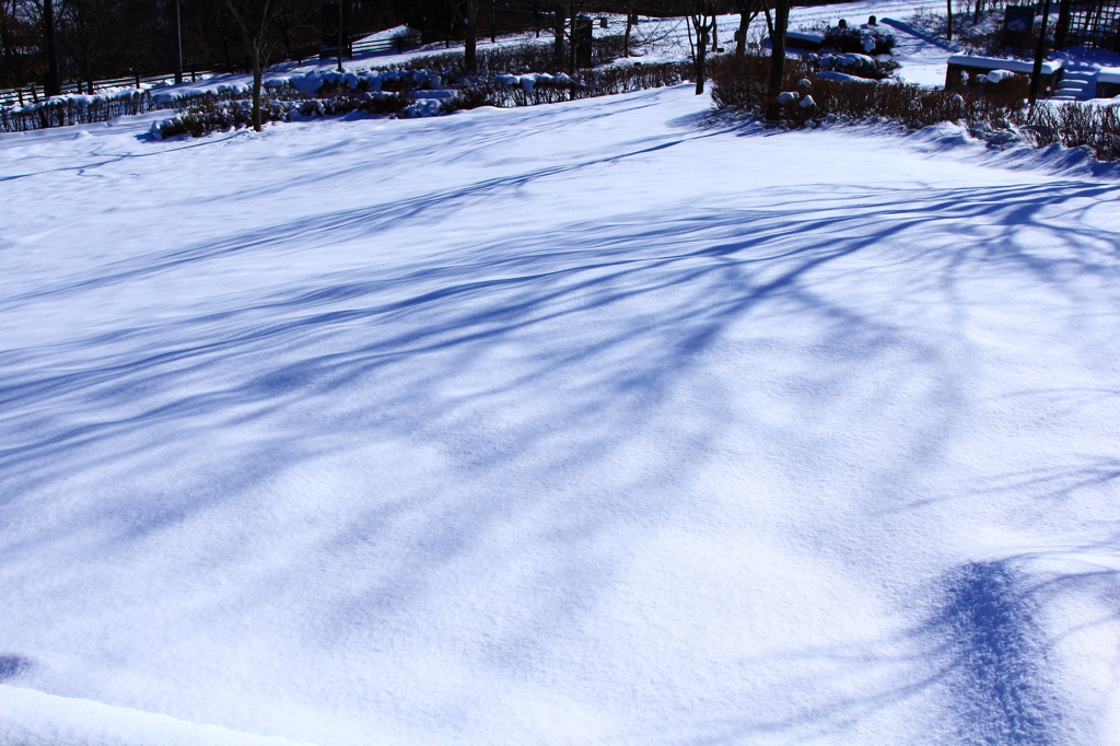 青い雪影