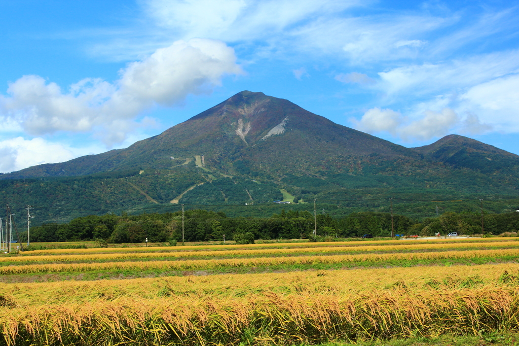 磐梯山と黄金色の稲穂