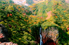蔵王エコーラインの紅葉