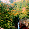 蔵王エコーラインの紅葉