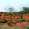蔵王エコーラインの紅葉