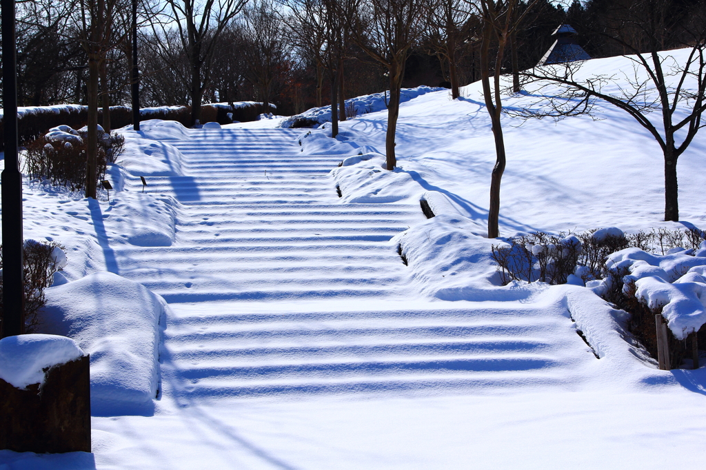 新雪