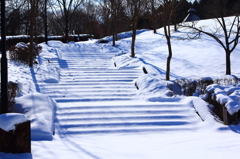 新雪