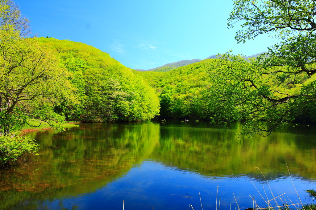 水鏡　裏磐梯曲沢沼