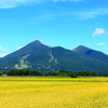 磐梯山に見守られて　実りの秋