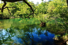 水鏡