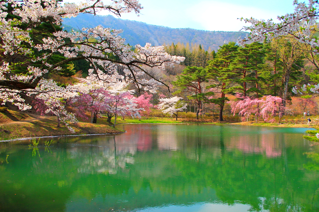 水鏡