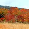 裏磐梯グランデコ　デコ平湿原の紅葉