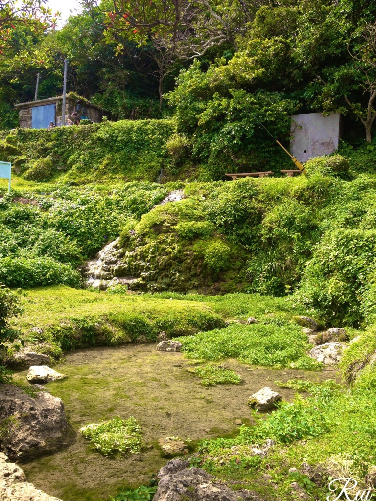 和な沖縄