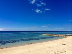 蒼き海に想いを馳せる