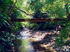 幸せの架け橋