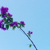 空まで届け