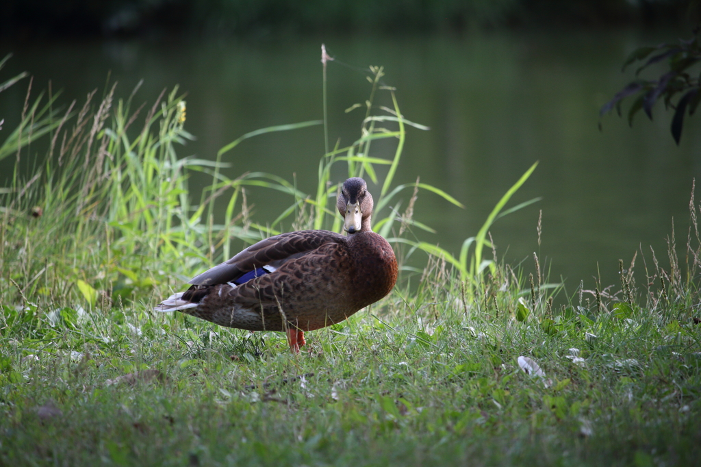 そんなに見ないで