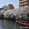 大岡川の風景