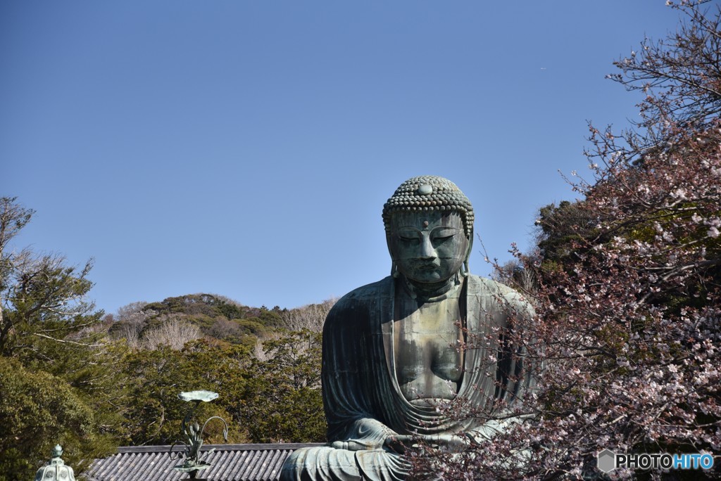 美男子鎮座