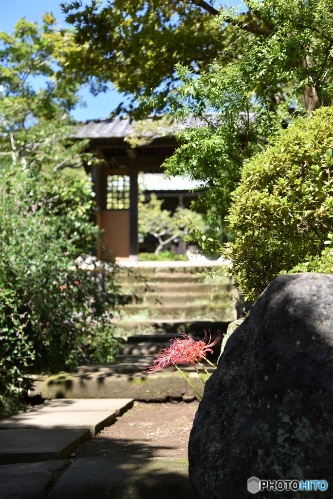 秋　海蔵寺