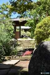 秋　海蔵寺
